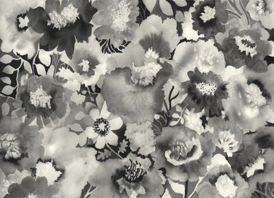 Floral in black and white by Neela Pushparaj